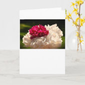 Pony, Karte (Gelbe Blume)