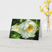 Pony, Karte (Gelbe Blume)