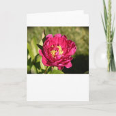 Pony, Karte (Vorderseite)