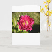 Pony, Karte (Gelbe Blume)