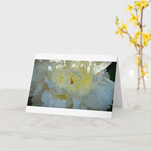 Pony, Karte (Gelbe Blume)