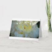 Pony, Karte (Vorderseite)