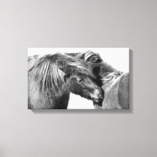 Pony-Kratzer Leinwanddruck