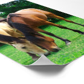 Pony Liebe Poster (Ecke)