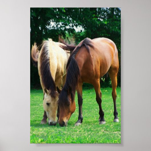 Pony Liebe Poster (Vorne)