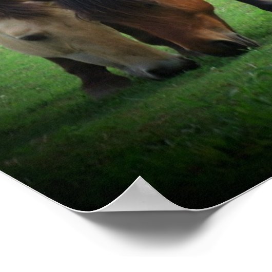 Pony Liebe Poster (Ecke)