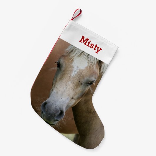 Pony Lover Foto & Name Personalisiert Kleiner Weihnachtsstrumpf (Vorderansicht (hängend))