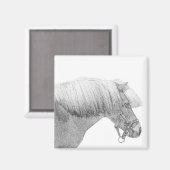 Pony-Magnet Magnet (Vorderseite/Rückseite)