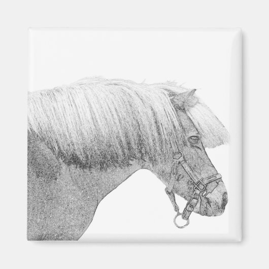 Pony-Magnet Magnet (Vorne)