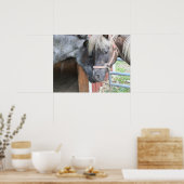 Pony Nuzzle Poster (Küche)