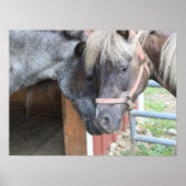 Pony Nuzzle Poster (Vorne)