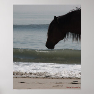 Pony on Beach Poster