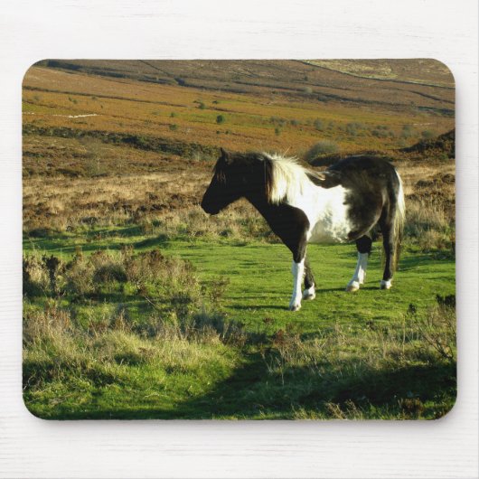Pony on Dartmoor Mousepad (Vorne)