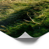 Pony on Dartmoor Poster (Ecke)