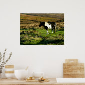 Pony on Dartmoor Poster (Küche)