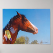 Pony Paint Pferd Feathers Poster (Vorne)