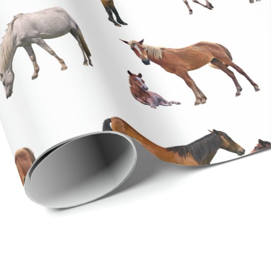 Pony Party Wrapping Paper (Farbe auswählen) Geschenkpapier (Rolleneckpunkt)
