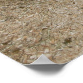 Pony/Pferd Poster (Ecke)