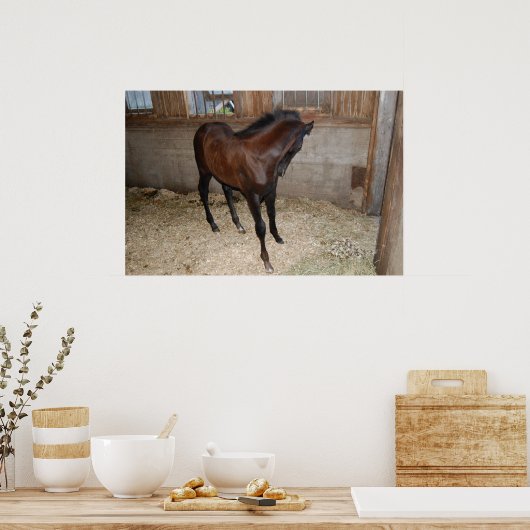 Pony/Pferd Poster (Küche)