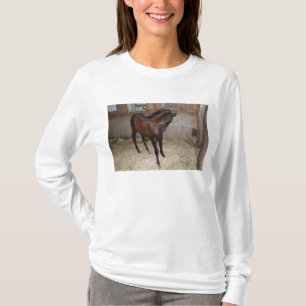 Pony/Pferd T-Shirt