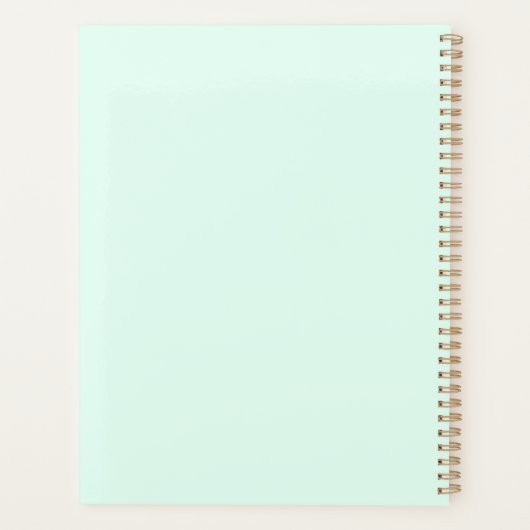 Pony Planer (Rückseite)