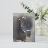 Pony - Postcard Postkarte (Stehend Vorderseite)
