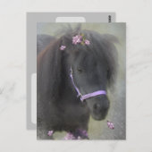 Pony - Postcard Postkarte (Vorne/Hinten)