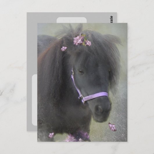 Pony - Postcard Postkarte (Vorne/Hinten)