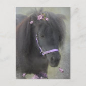 Pony - Postcard Postkarte (Vorderseite)