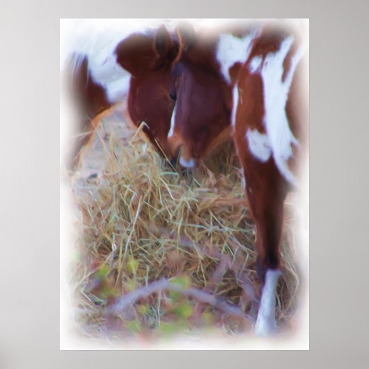 Pony Poster (Vorne)