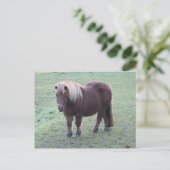 Pony Postkarte (Stehend Vorderseite)