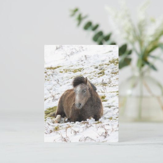 Pony Postkarte (Stehend Vorderseite)