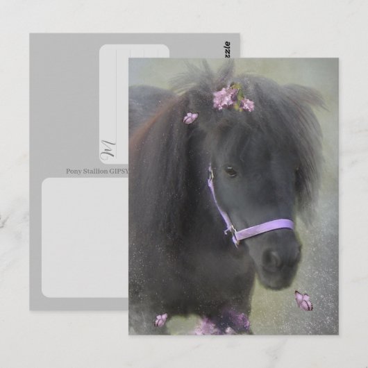 Pony - Postkarte (Vorne/Hinten)