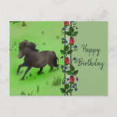 Pony Postkarte (Vorderseite)