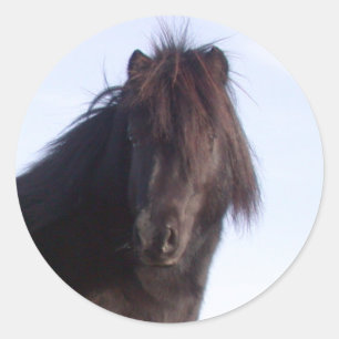Pony Runder Aufkleber