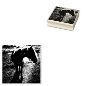 Pony Silhouetted Kautschuk Briefmarke Gummistempel (Stempel)