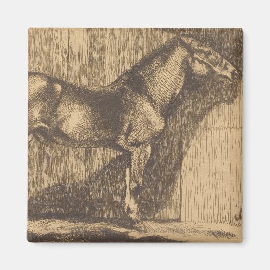 Pony-Sketch (von Paul-Albert Besnard) Magnet (Vorne)