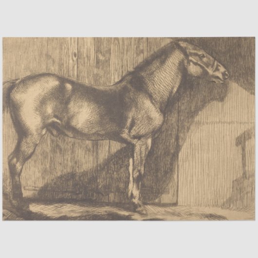 Pony-Sketch (von Paul-Albert Besnard) Seidenpapier (Vorderseite)
