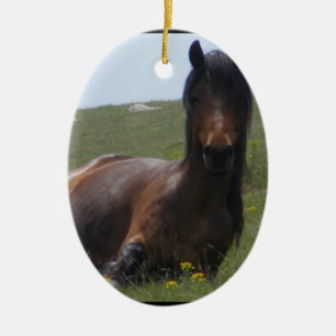 Pony-stillstehende Verzierungen Keramikornament