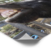 Pony Talk Poster (Ecke)