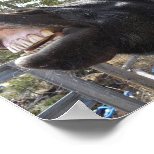 Pony Talk Poster (Ecke)