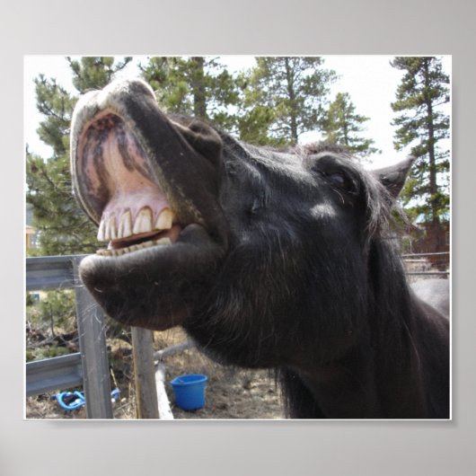 Pony Talk Poster (Vorne)