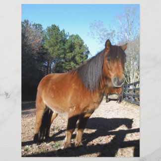 Pony Türkise Sky
