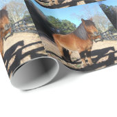 Pony Türkise Sky Geschenkpapier (Rolleneckpunkt)