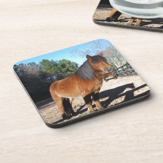 Pony Türkise Sky Getränkeuntersetzer (Linke Seite)