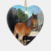 Pony Türkise Sky Keramik Ornament (Rechts)