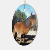 Pony Türkise Sky Keramik Ornament (Links)