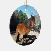 Pony Türkise Sky Keramikornament (Rechts)