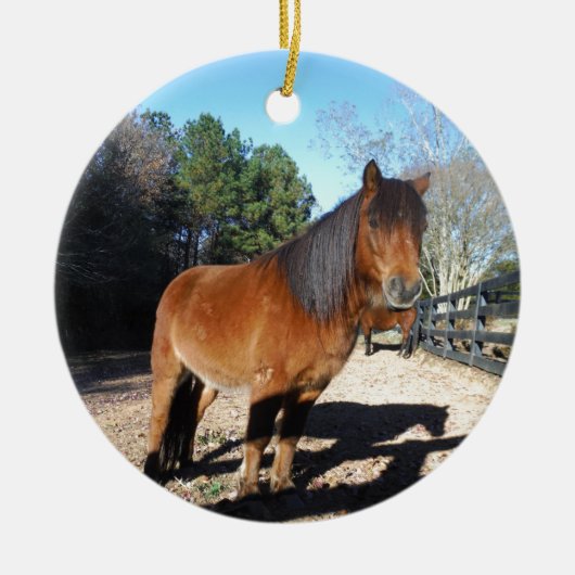 Pony Türkise Sky Keramikornament (Vorne)