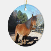 Pony Türkise Sky Keramikornament (Links)